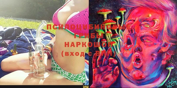 МДПВ Медвежьегорск