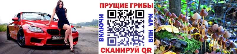 Галлюциногенные грибы мицелий  купить наркотики цена  Юрьевец 